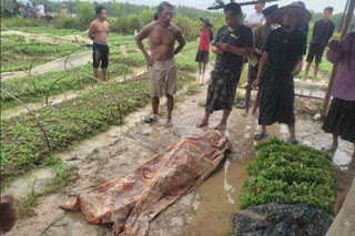 Petani di Sampang Madura tewas disambar petir.