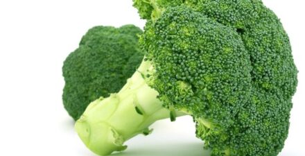 Ilustrasi sayuran brokoli.