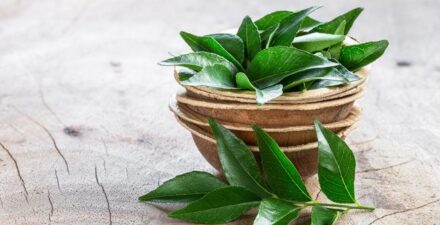 Dokter mengingatkan sembarang minum air rebusan daun bisa bikin gagal ginjal.