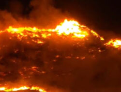 Kemarau Picu Lonjakan Kebakaran Hutan di Kabupaten Solok