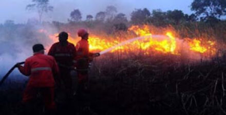 Kebakaran Hebat Landa Solok, 37 Titik Api Terpantau dalam Sehari