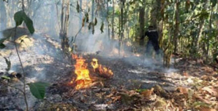Kondisi kebakaran hutan dan lahan di Kabupaten Tanah Datar, Sumatera Barat, Jumat (18/7).