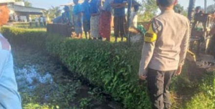 Lokasi persawahan di Desa Airjangka, tempat lansia 70 tahun ditemukan meninggal dunia.