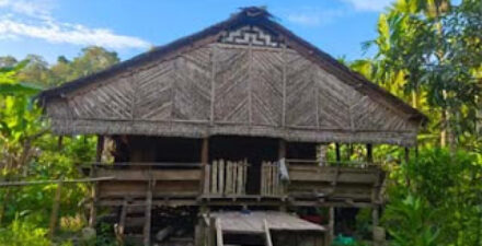 Warga Sipora Tolak Izin PT SPS di Hutan Adat