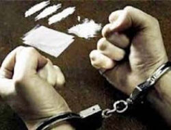 Pasaman Perketat Jalur Perbatasan, Cegah Masuknya Narkoba