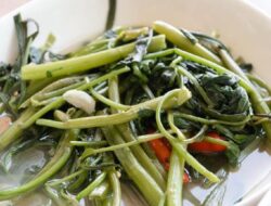 Kangkung Bisa Bikin Rileks dan Ngantuk, Ini Fakta di Baliknya
