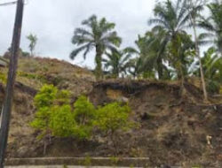 Karhutla Padam, Warga Diingatkan Waspadai Longsor