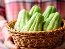 Waspada Hipertensi! Ini 5 Sayuran Alami Penurun Tekanan Darah