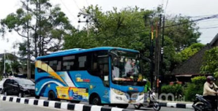 Tarif Trans Padang
