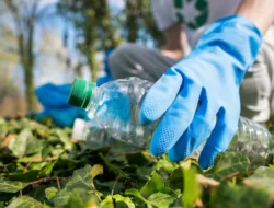 Cara Menghindari Greenwashing dalam Sustainability Report