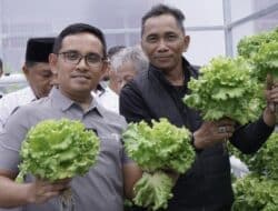 Padang Pariaman Punya “Green House Nyarai” di Nagari Salibutan Pacu Wisata Lestari Berbasis Pangan dan Edukasi