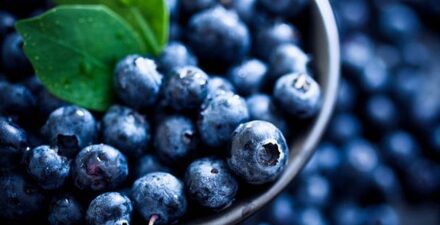 Rutin Makan Blueberry Bisa Tambah Umur Setahun, Ini Alasannya