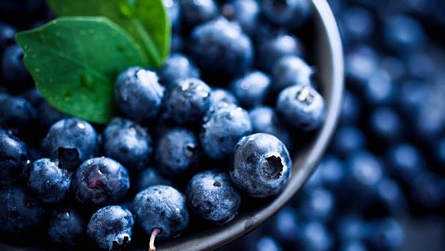 Ingin panjang umur? Salah satu cara paling sederhana untuk panjang umur adalah dengan konsumsi blueberry.