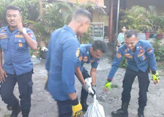 Tim Damkar Kota Padang berhasil menangkap seekor ular piton