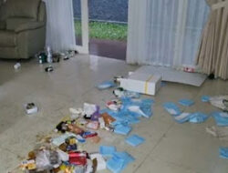 Rumah Nafa Urbach di Bintaro Diserbu Massa, Barang Berharga Raib