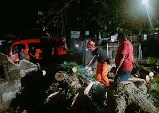 Pohon Tumbang Timpa Rumah Warga di Padang