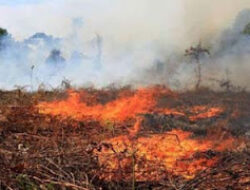 Ancaman 15 Tahun Penjara bagi Pelaku Karhutla