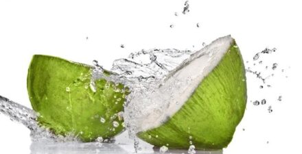 7 Manfaat Minum Air Kelapa Setiap Hari untuk Tubuh