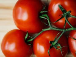 Segudang Manfaat Tomat, dari Jaga Tekanan Darah hingga Lindungi Mata