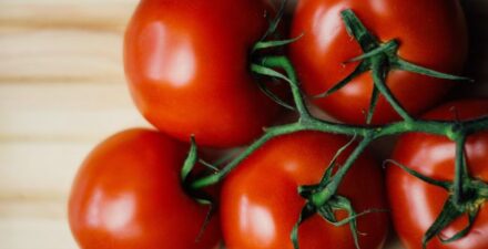 Segudang Manfaat Tomat, dari Jaga Tekanan Darah hingga Lindungi Mata