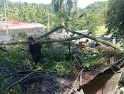 Angin Kencang Tumbangkan Pohon, Warga Alami Kerugian Jutaan
