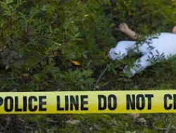 Bayi Terbuang di Dekat Kolam Renang Harapan Baru Regency