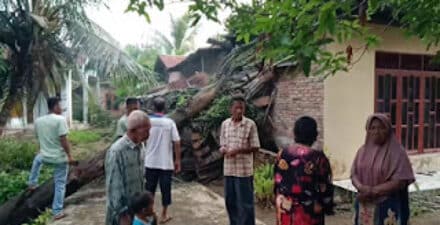 Angin Kencang di Labura Tumbangkan Pohon, 5 Rumah Rusak