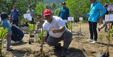 PT Semen Padang turut serta dalam penanaman 1.000 bibit mangrove