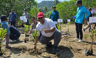 PT Semen Padang turut serta dalam penanaman 1.000 bibit mangrove