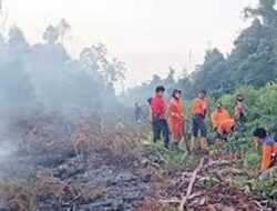 BPBD Kotim Usulkan Teknologi Hujan Buatan untuk Antisipasi Karhutla