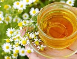 6 Obat Alami Sakit Perut yang Mudah Ditemukan di Rumah