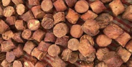 Gubernur Sumbar Dorong Hilirisasi Gambir untuk Tingkatkan Nilai Ekonomi