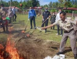 Badan Karantina Perketat Pengawasan Komoditas untuk Cegah Hama dan Penyakit