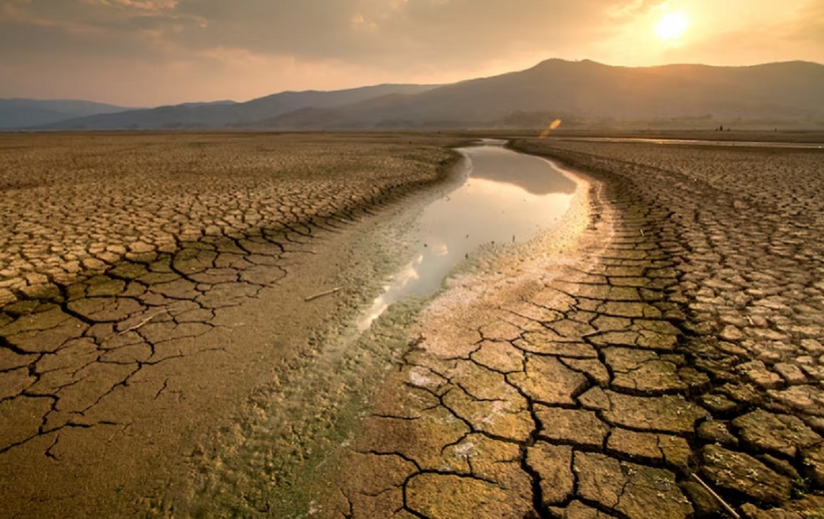 Insiden bocornya minyak PT Vale Indonesia ke 30 hektare sawah menyebabkan gagal panen.