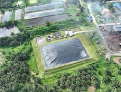 PalmCo Buka Akses Kredit Karbon Mulai Rp150 Ribu per Ton