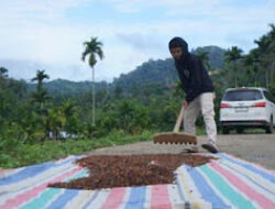 Nagari Unggan, Dari Penebangan Liar Menuju Pengelolaan Hutan Berkelanjutan