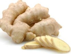 Kunyit Putih, Khasiat Alami untuk Pencernaan hingga Peradangan