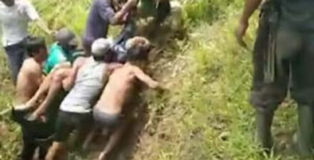 Pekerja Pelansir Sawit Ditemukan Lemas di Sungai Pesisir Selatan