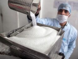 Gula Rafinasi Banjiri Pasar, Petani Tebu Lokal Terancam Merugi