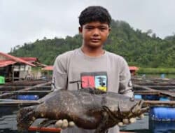 Satu Kasus Karantina Naik ke Proses Hukum, 9 Masih Tunggu SPDP