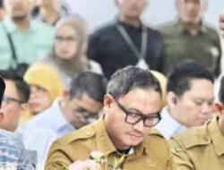 Stok Beras Nasional Capai Level Tertinggi, Percepat Swasembada Pangan