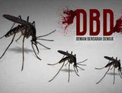 Dinkes Pasbar Lakukan PSN dan Fogging Hadapi Wabah DBD