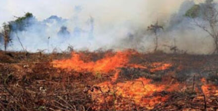 Tim Gabungan Masih Padamkan Api di Bukik Gunuang Ameh