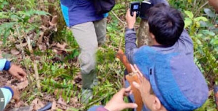 Warga Dihimbau Batasi Aktivitas di Ladang Pasca Serangan Harimau
