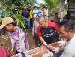 Korban Gantung Diri di Nagari Sulit Air, Polisi Selidiki