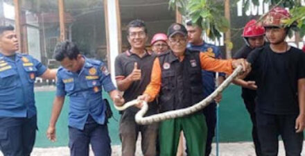 Damkar Padang tangkap ular dalam galeri di kawasan Pantai Air Manis.