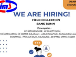 PT Intrias Mandiri Sejati Buka Lowongan Field Collection di Sumatera Barat, Cek Penempatannya!