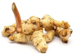 5 Manfaat Lengkuas untuk Kesehatan, dari Cegah Kanker hingga Jaga Kesuburan Pria