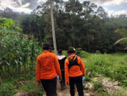 Pria Hilang di Hutan Solok Selatan Ditemukan Selamat Setelah 24 Jam Pencarian