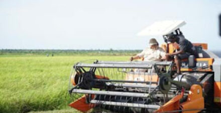 Presiden Prabowo mendorong swasembada pangan di Merauke.